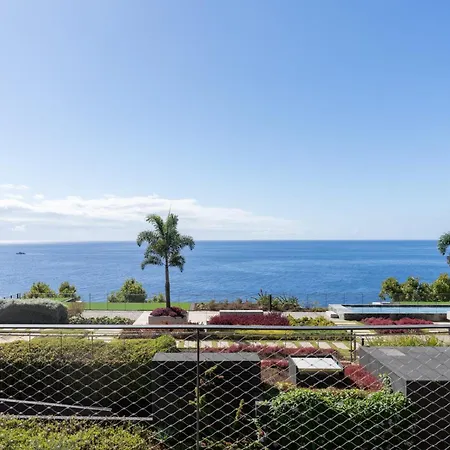 Savoy Monumentalis Vii By An Island *